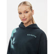Blue Cotton Sweatshirt